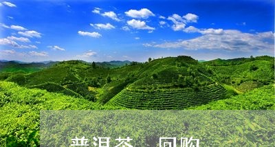 普洱茶 回购/2023042822783